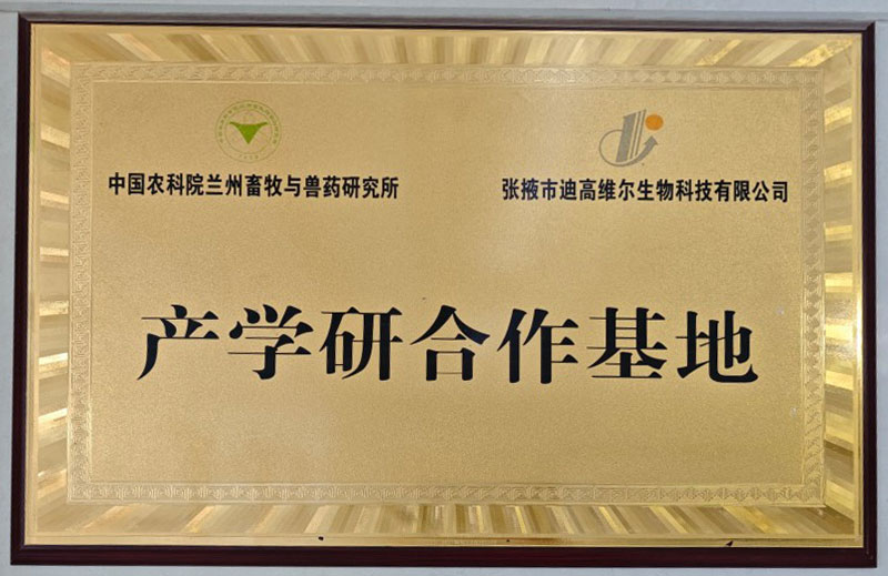 企业荣誉